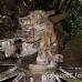howitzer_peleliu_h_0314_pal0354.jpg
